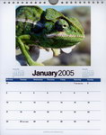 January Page: Madagascar 2005 Calendar: Images of...