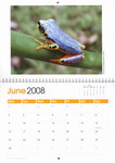 June Page: Frogs of Madagascar Calendar: Photo...
