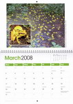 March Page: Frogs of Madagascar Calendar: Photo...