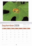 September Page: Frogs of Madagascar Calendar: Photo...