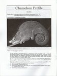Article First Page: Chameleon Information Network Journ...