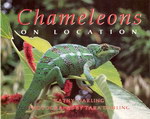 Front Cover: Chameleons on Location