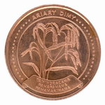 Front: 5 Ariary Coin: (25 Malagasy Francs)