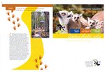 First Page: Duke Lemur Center: Fall 2011