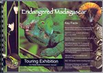 Front Cover: Endangered Madagascar: Touring Exhi...