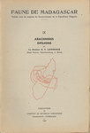 Faune de Madagascar