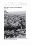 First Page: REDD In Madagascar: An Overview of ...