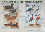 Front: Gana dia Hita Eto Madagasikara