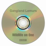 DVD Face: Gangland Lemurs