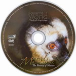 DVD Face: The Marvels of Madagascar