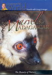 Front of Box: The Marvels of Madagascar