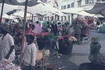 Image: Cut flowers for sale, ny Zoma marke...