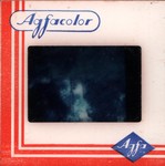 Slide Frame: Large spider web