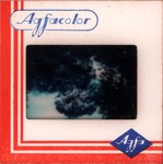 Slide Frame: Eucalyptus trees: Soavinandriana