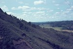 Image: Woods around Ambositra