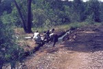 Image: Local women doing laundry: Ambositr...