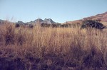 Image: Landscape south of Ambalavao