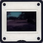 Slide Frame: Street scene with Edinburgh Zoologi...