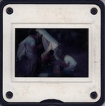 Slide Frame: Examining zoological specimens at t...