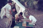 Image: Examining zoological specimens at t...