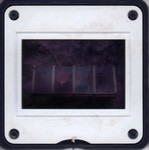 Slide Frame: Zoological specimens at the campsit...