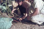 Image: Examining a snake at the campsite