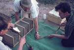 Image: Examining a snake at the campsite