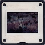 Slide Frame: Vegetable market: Tulear