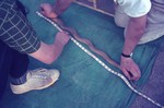 Image: Examining a snake at the campsite