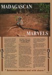 Front: Madagascan Marvels
