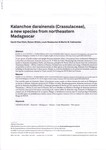 First Page: Kalanchoe darainensis (Crassulaceae...