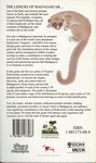 Back Cover: Lemurs of Madagascar