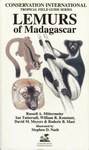 Lemurs of Madagascar