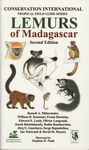 Lemurs of Madagascar