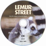 DVD Face: Lemur Street