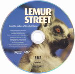 DVD Face: Lemur Street