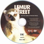 DVD Face: Lemur Street