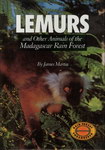Front Cover: Lemurs: And Other Animals of the Ma...