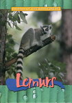 Front Cover: Lemurs: Animals of the Rain Forest