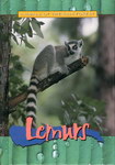 Lemurs