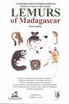 Lemurs of Madagascar