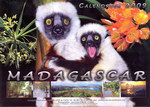 Back Cover: Madagascar Calendrier 2009