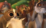 Freeze-Frame: Madagascar