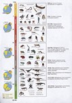 Front: Timetable summarizing major paleoge...