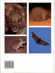 Back Cover: Mammals of Madagascar