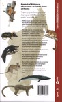 Back Cover: Mammals of Madagascar