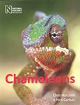 Front Cover: Chameleons
