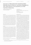 Discovery of Macrotarsomys bastardi at Beza Mahafaly Special Reserve, Southwest Madagascar, with Observations on the Dynamics of Small Mammal Interactions