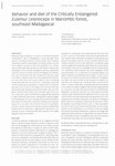 Behavior and Diet of the Critically Endangered Eulemur cinereiceps in Manombo Forest, Southeast Madagascar