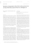 First Page: Multiple ectoparasites infest Micro...